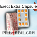 Erect Extra Capsule new13